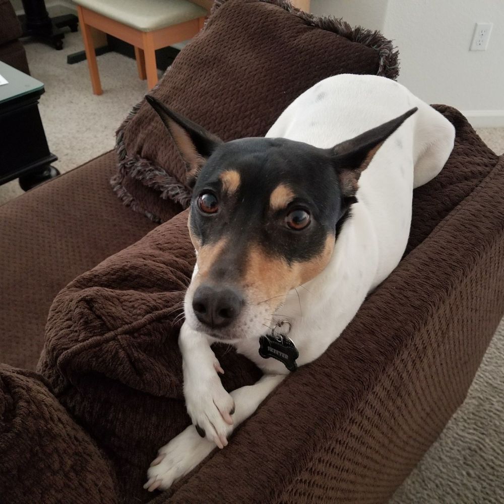 Meet your Posher, Rebecca